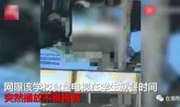 黄色录像视频播放,一场视觉与心理的冲击之旅