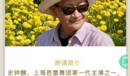 青草视频免费观看,青草视频免费观看，解锁无限精彩